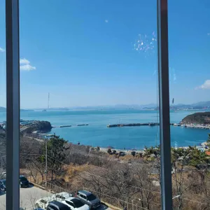 그랜드하브 리뷰 사진