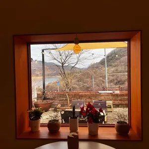 모도리 대표 사진