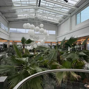 팜브릿지 대표 사진