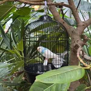 팜브릿지 대표 사진