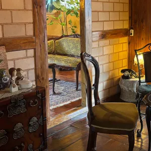 1919봄 대표 사진