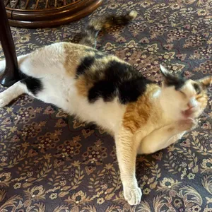 1919봄 대표 사진