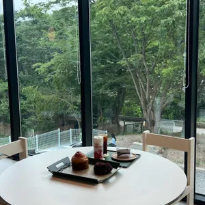 트리즈 대표 사진