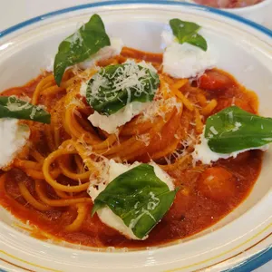 파올 대표 사진