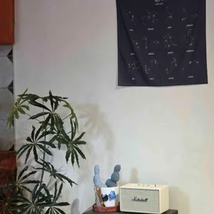 어텀벌스 대표 사진