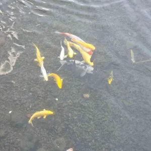 바다쏭 대표 사진