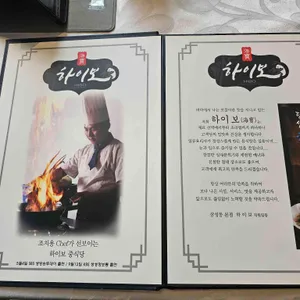 하이보 리뷰 사진