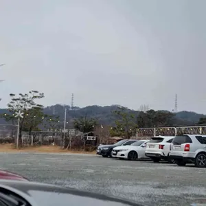 플레인밀 리뷰 사진