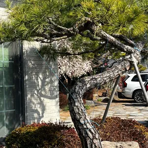 앞뜰식당 대표 사진