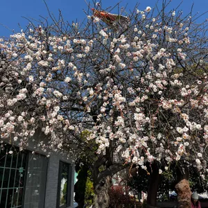 앞뜰식당 대표 사진