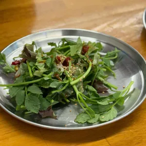 능동미나리 대표 사진