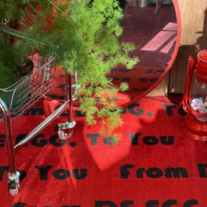 디에그 리뷰 사진