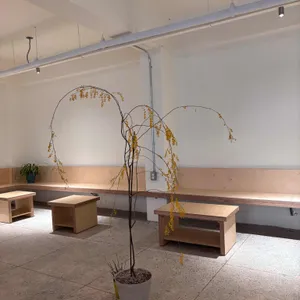 티티엘티 대표 사진