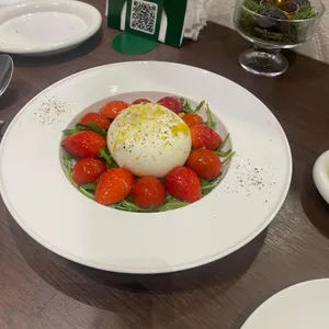 오스테리아 매료 사진