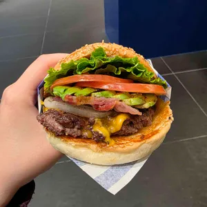 다운타우너 대표 사진