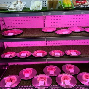 캠프쿡 대표 사진