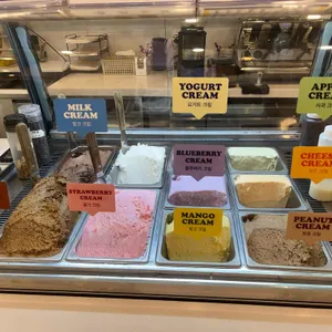 와플대학 리뷰 사진