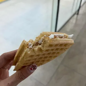 와플대학 대표 사진