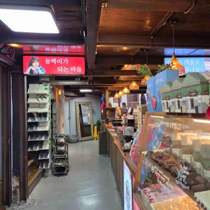 까멜리아 대표 사진