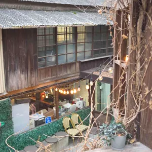 까멜리아 대표 사진