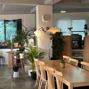 어보브 대표 사진