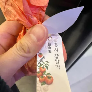 한정선 녹 사진 2