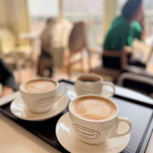 시즌모먼트 사진