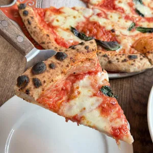 토브나인 대표 사진