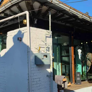 레브 대표 사진