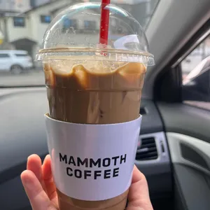 매머드익스프레스 사진 1