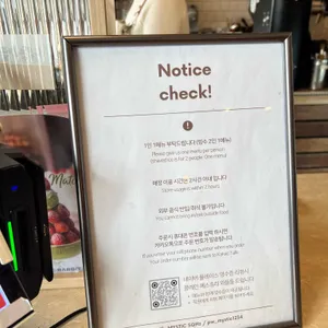 미스틱래빗 리뷰 사진