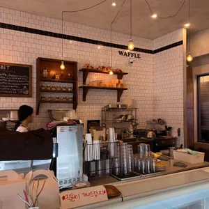 미스틱래빗 대표 사진