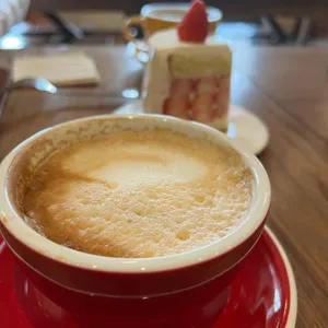 미스틱래빗 대표 사진