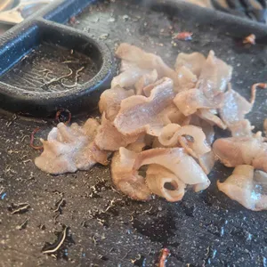 한통대패무한 사진