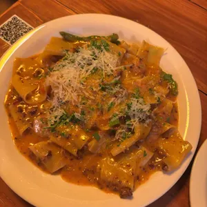 파피 대표 사진