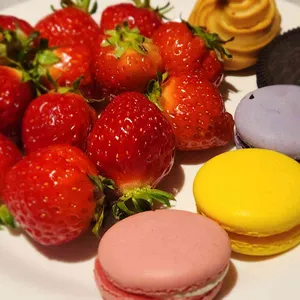 고메스퀘어 사진