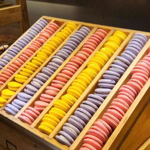 고메스퀘어 사진