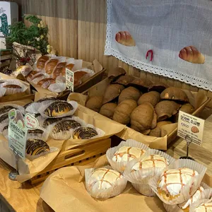 AVEK CHERI 대표 사진