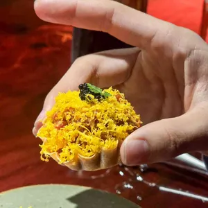 일차 대표 사진