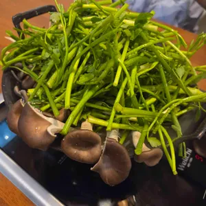 등촌샤브칼국수 대표 사진