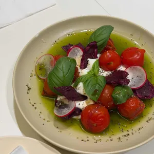 브리비트 대표 사진