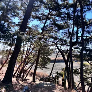 카르폰 리뷰 사진