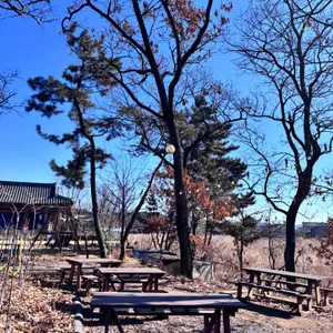 카르폰 리뷰 사진