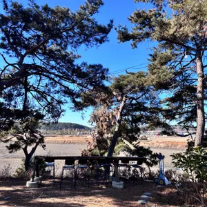 카르폰 리뷰 사진