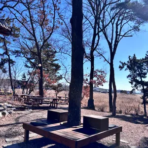 카르폰 리뷰 사진