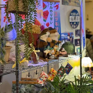 초여름 대표 사진