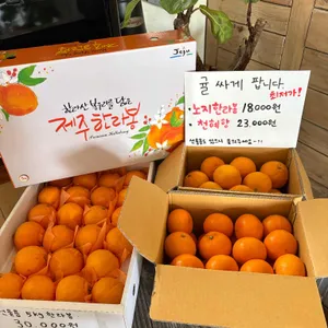 무량제주 리뷰 사진