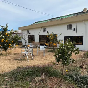 무량제주 리뷰 사진