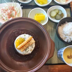 동강함박 대표 사진