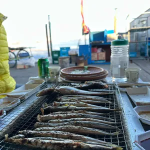 오징어난전신양호2호 대표 사진